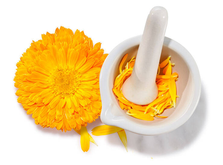 Discover The MultiMiracle Benefits Of Calendula For Skin